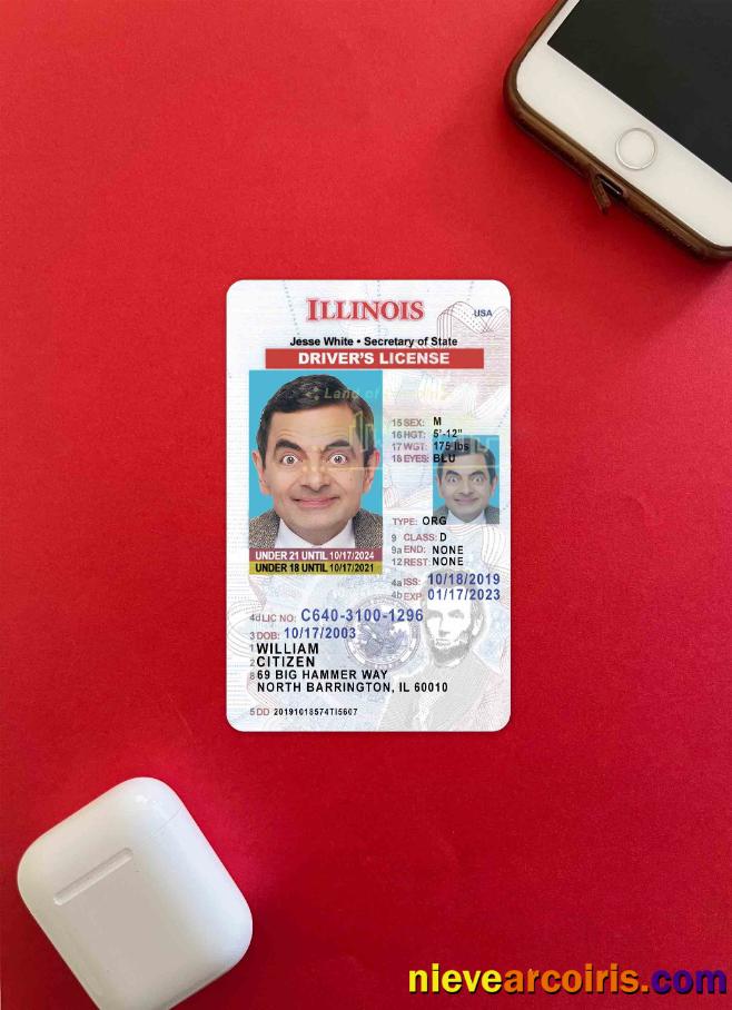 USA Illinois driving license photolook